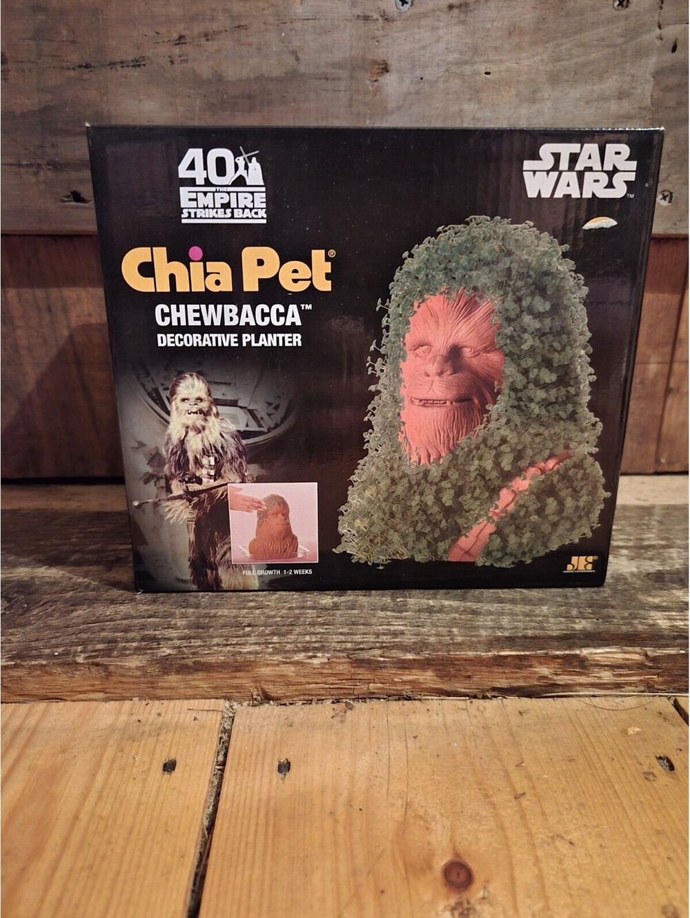 Star Wars Chewbacca Chewy Chia Pet Kit New in open box Disney Flower Planter
